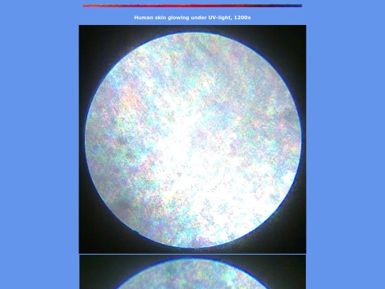 z7 screenshot