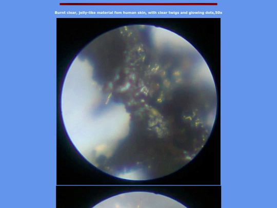 z8 screenshot