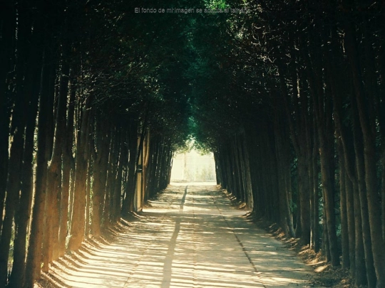pruebas/fullscreen screenshot