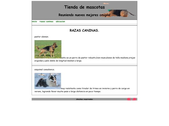 paginas/razas screenshot