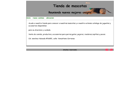 paginas/ubicacion screenshot