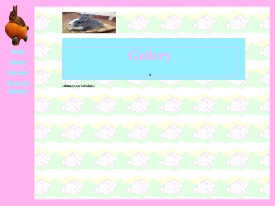 gallery screenshot