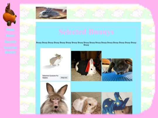 selectedbnuuys screenshot