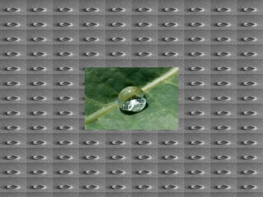 Drop screenshot