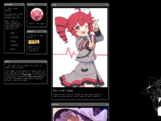 garbage/profile screenshot