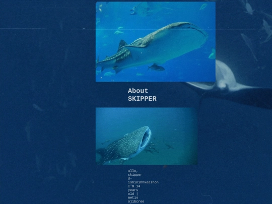 aboutskipper screenshot