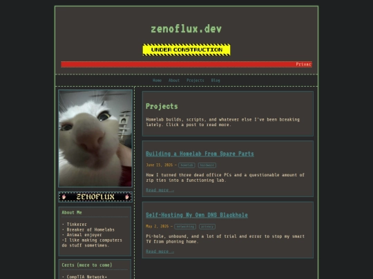 projects screenshot