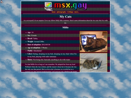 cats screenshot