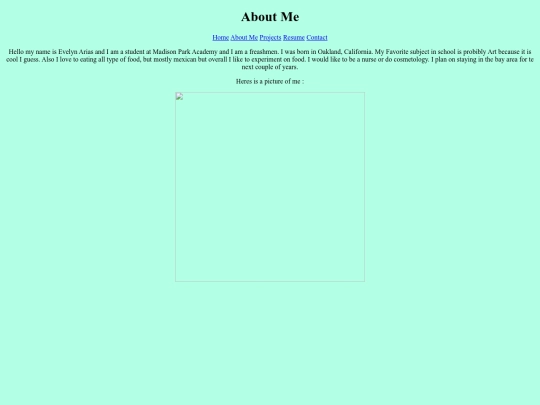 Portfolio/about screenshot
