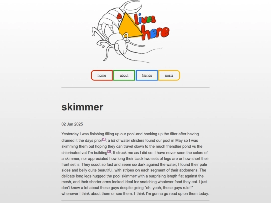 skimmer screenshot