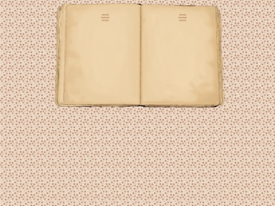 book_template screenshot