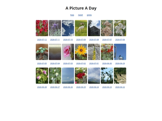 pages/grids/2026-28 screenshot