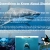 allaboutsharks's avatar