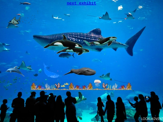 aquarium2 screenshot