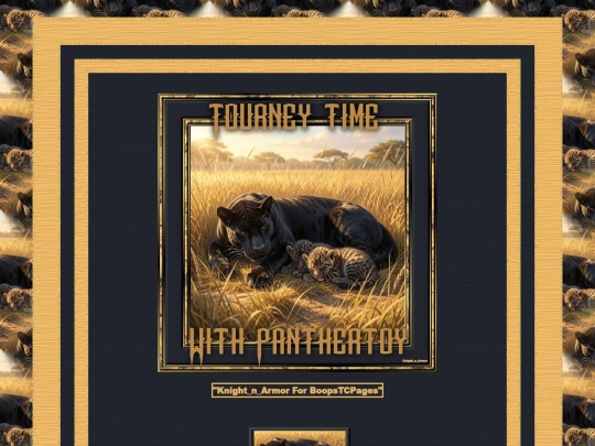 HOSTS/PantherToy/pg9 screenshot
