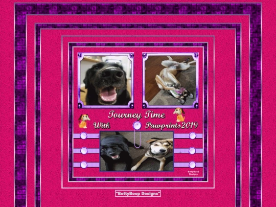 HOSTS/Pawprints2019/pg9 screenshot