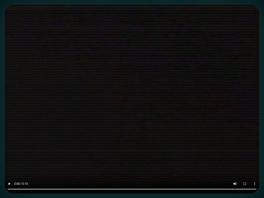 pages/bumpers/natgeobump2 screenshot