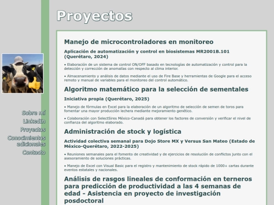 proyectos screenshot