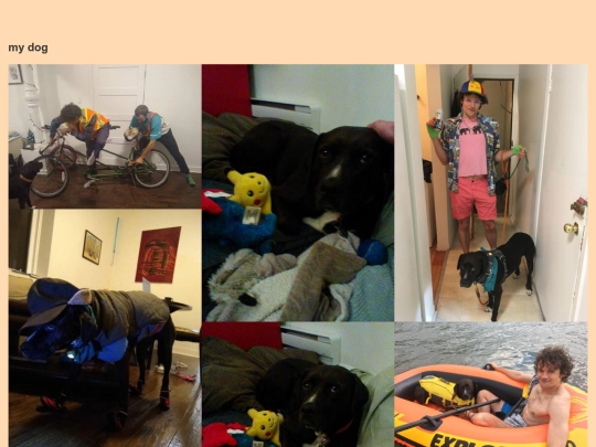 dog screenshot