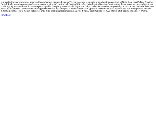 Local3/tipos3 screenshot