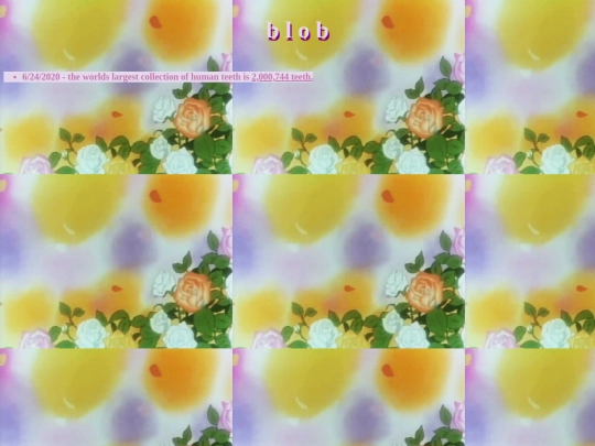 bbb screenshot