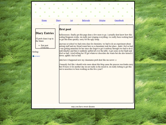 diarypages/diarypagefirst screenshot
