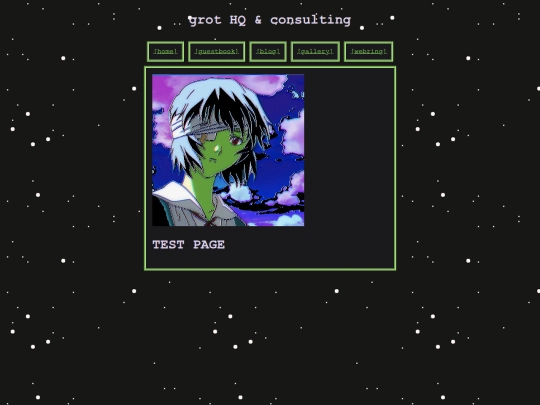 page screenshot