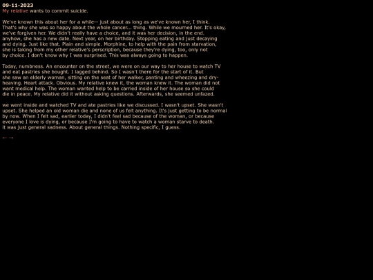 diary/37 screenshot