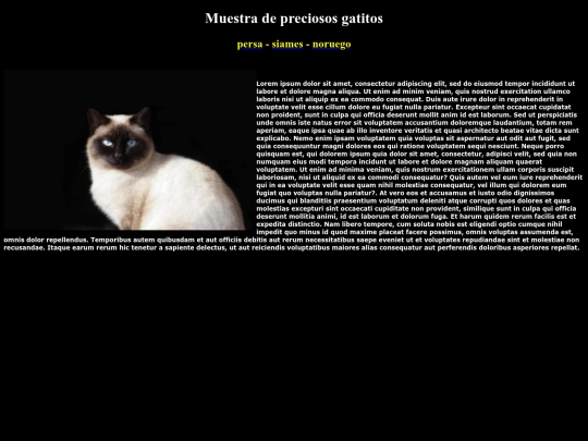 examen/about screenshot