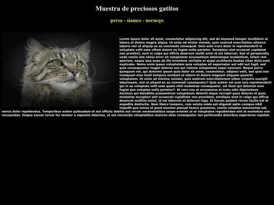 examen/contacto screenshot