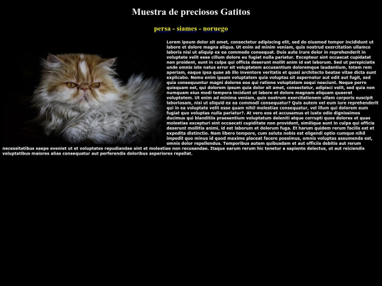 examen screenshot