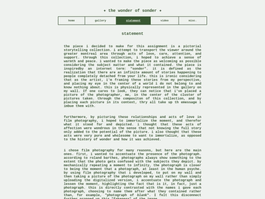 artiststatement screenshot