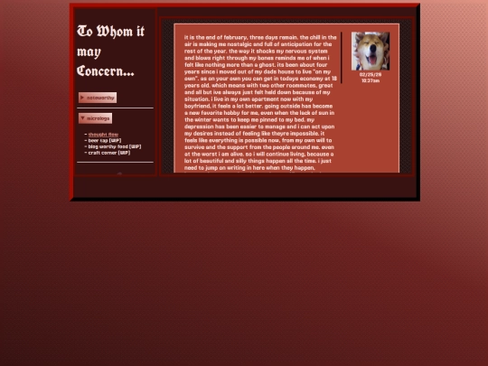 blog screenshot