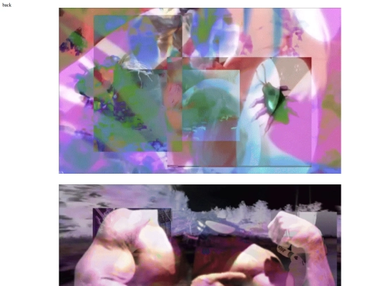 vid screenshot