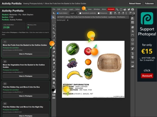 Online Activity Portfolio screenshot