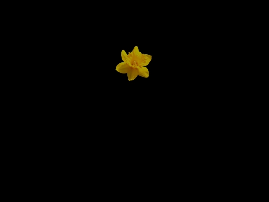 six screenshot