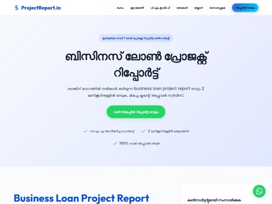 business-loan-project-report screenshot