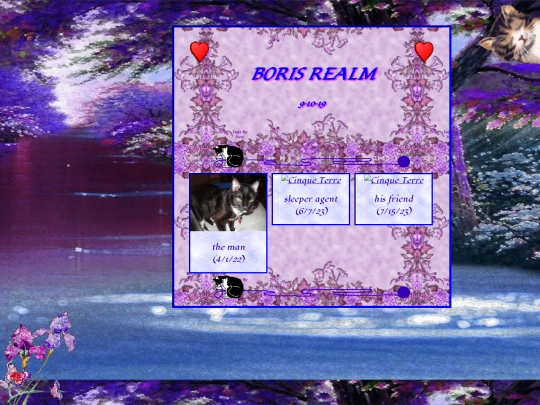BORIS screenshot