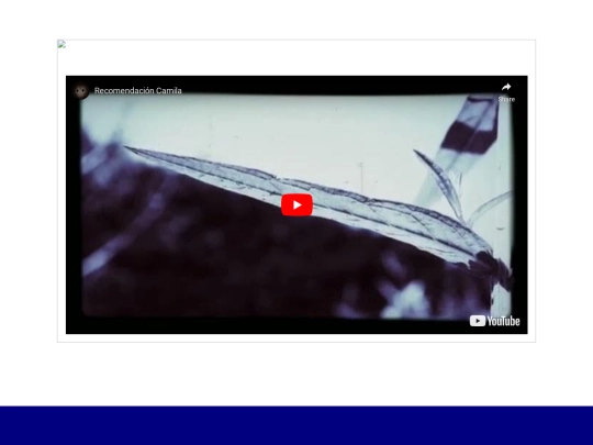 Videos screenshot