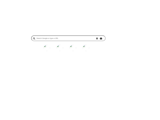google screenshot