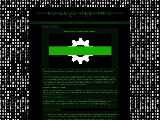 webring screenshot