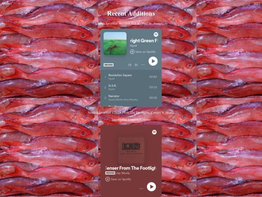 musicblog screenshot