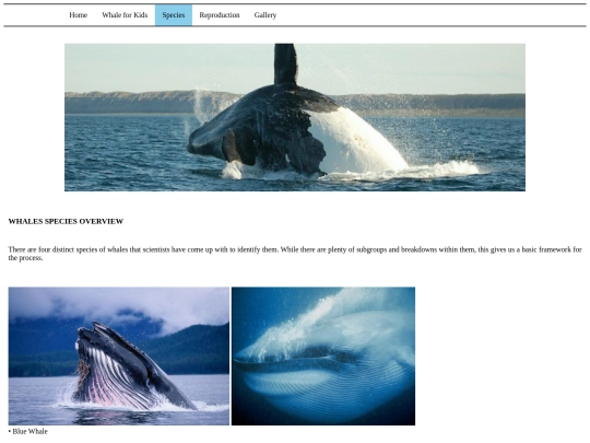 p03 screenshot