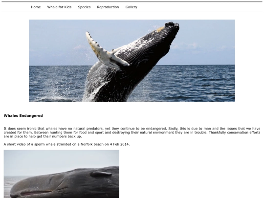 p05 screenshot
