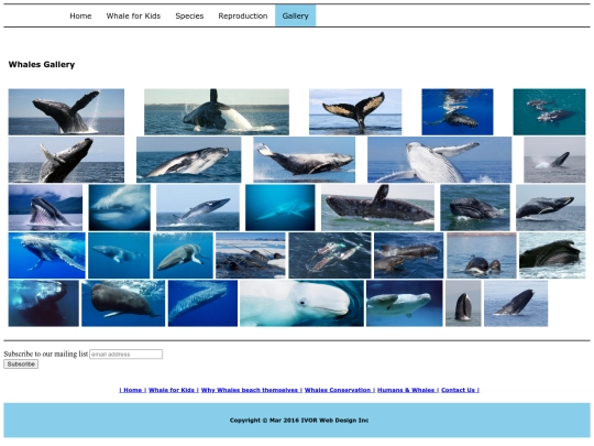 p06 screenshot