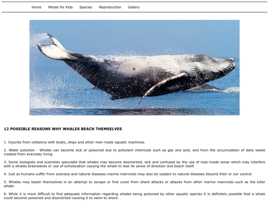 p07 screenshot