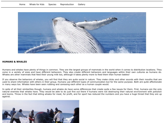 p08 screenshot