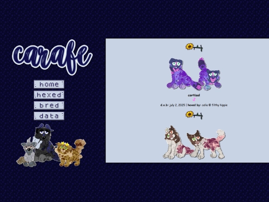 hmutts screenshot