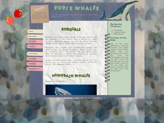 whales/rorquals screenshot