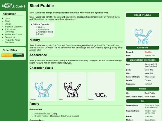 cats/sleet puddle screenshot